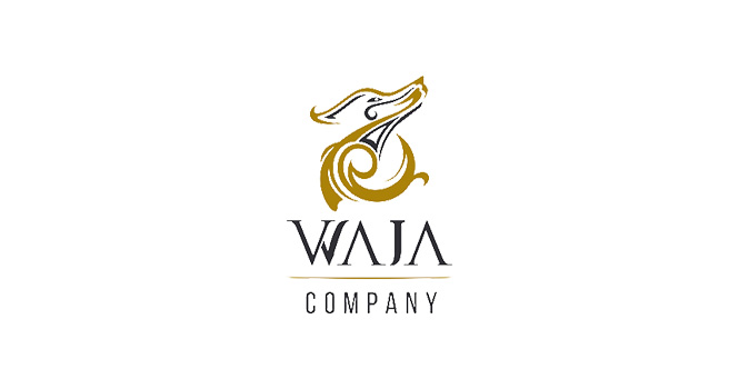 Waja announces the prospectus of offering 455,000 of its shares in the parallel market